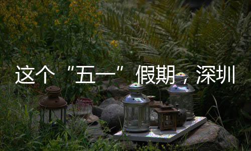 五了一这个圳太假期火，深